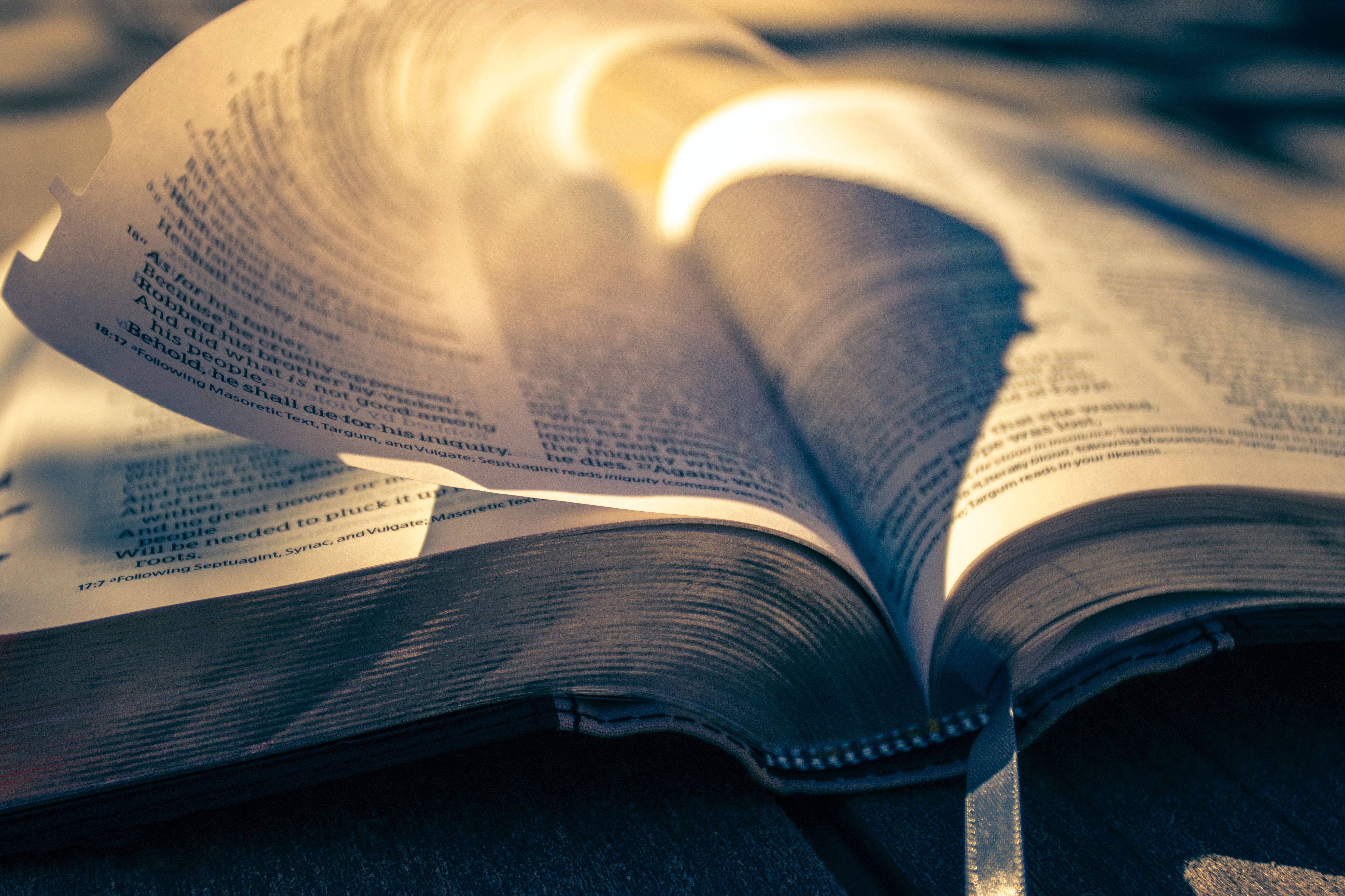 Библия: что о ней нужно знать и как ее читать? 